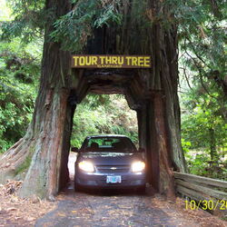 2009  Trip to Oregon